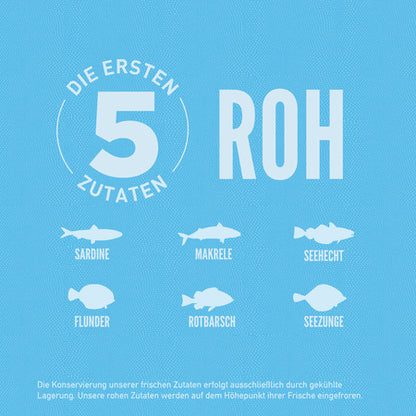 Orijen Six Fish Cat