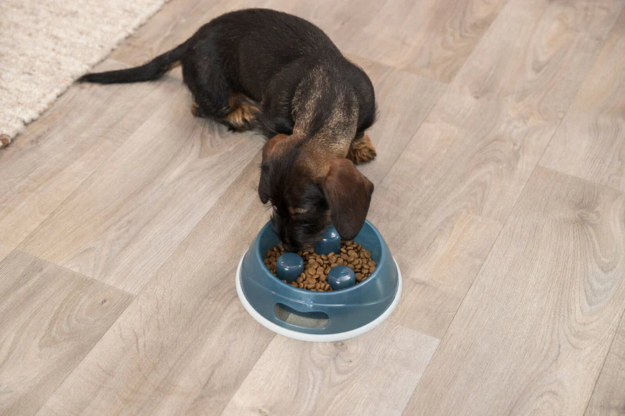 Trixie Slow Feeding Kunststoffnapf