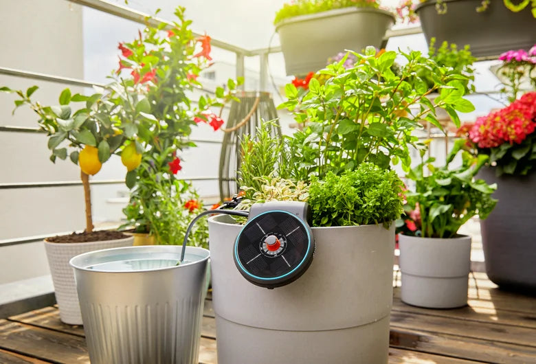 Solar-Powered AquaBloom Set