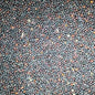 Spider Rape Seed 20 kg