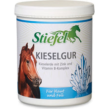 Stiefel Kieselgur