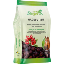 Stiefel Hagebutten