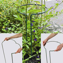 Siena Garden Shrub/Perennial Support