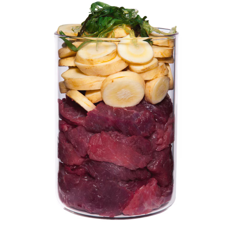 Terra Canis Strauss+Pastinake, Hypoallergen, getreidefrei