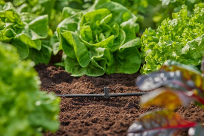 GARDENA Micro-Drip-System T-Stück für Sprühdüsen/Endtropfer 4,6 mm (3/16")
