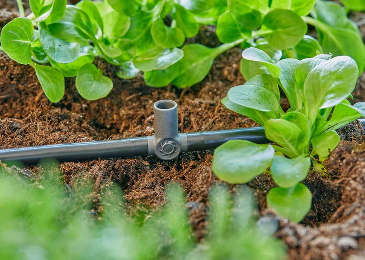 GARDENA Micro-Drip-System T-Stück für Sprühdüsen/Endtropfer 4,6 mm (3/16")