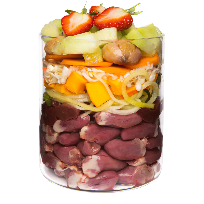 Terra Canis Grain-Free Ente mit Kürbis
