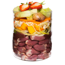 Terra Canis Grain-Free Ente mit Kürbis