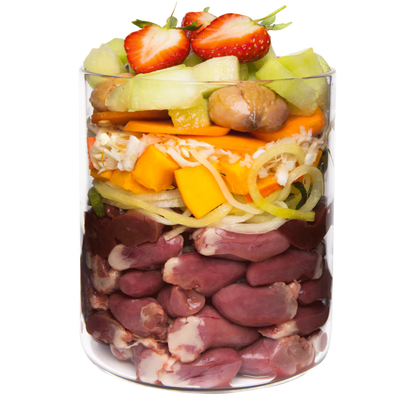 Terra Canis Grain-Free Ente mit Kürbis