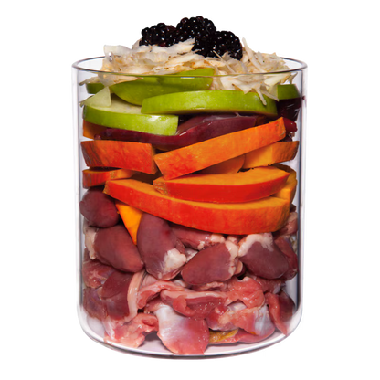 Terra Canis Grain-Free Huhn mit Pastinake