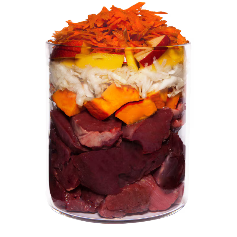 Terra Canis Grain-Free Lamm mit Kürbis