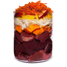 Terra Canis Grain-Free Lamm mit Kürbis