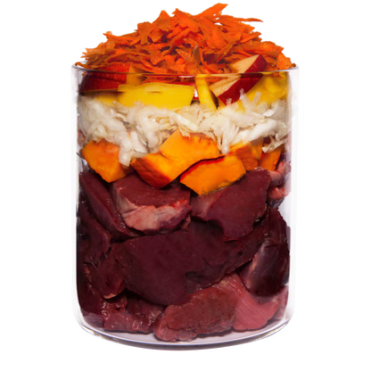 Terra Canis Grain-Free Lamm mit Kürbis