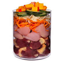 Terra Canis Grain-Free Pute mit Knollensellerie