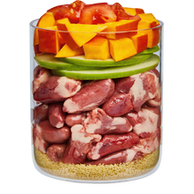 Terra Canis / Puppy Chicken+Pumpkin+Chamomile+Bee Pollen