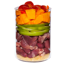 Terra Canis Puppy Chicken, Pumpkin, Chamomile, and Tomato