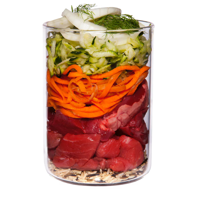 Terra Canis Welpen Lamm,Zucchini,Fenchel und Magerjoghurt