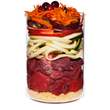Terra Canis Puppy Beef, Apple, Carrot and Rosehip