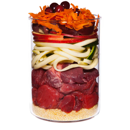 Terra Canis Welpen Rind,Apfel,Karotte und Hagebutte