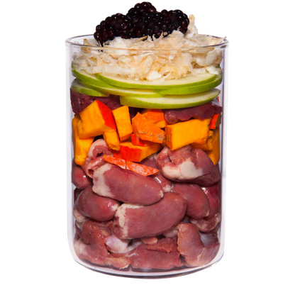 Terra Canis Huhn+Pastinaken+Brombeeren+Löwenzahn / getreidefrei