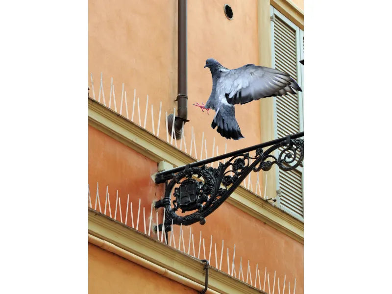 Pigeon Repellent Spikes 100