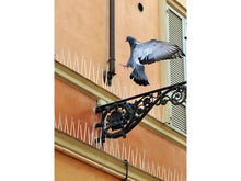 Taubenabwehr Spikes 100