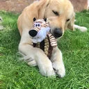 Duvo Plus Zoo Friends Ring Dog Toy