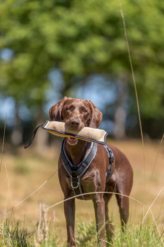 Trixie Training Dummy, Bite Tug, Jute, ø 12 × 58 cm/88 cm