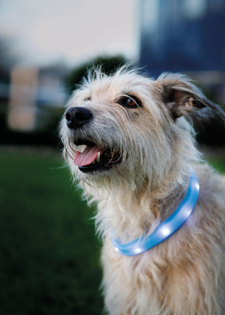 Trixie Flash Leuchtband USB, extra breit