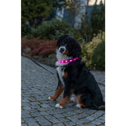 Trixie Flash Leuchtband USB, extra breit