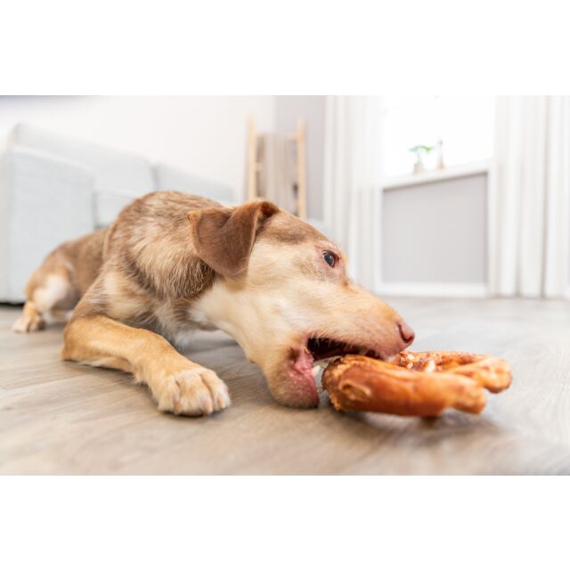 Trixie Pretzel Rinderhaut mit Ente ummantelt, lose