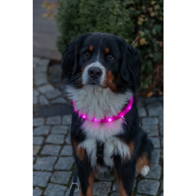 Trixie Flash Leuchtband USB, extra breit