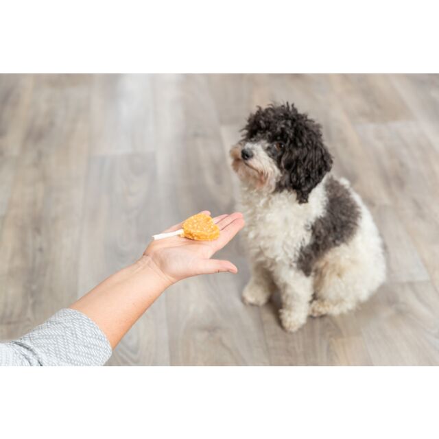 Trixie Lolly with Chicken & Rice, bulk
