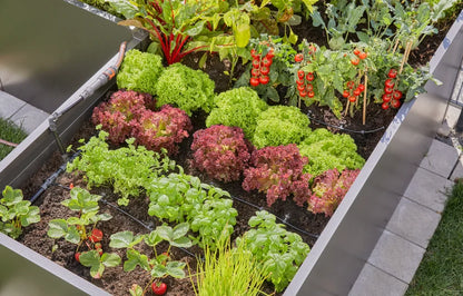 Micro-Drip-System Drip Irrigation Set Raised Bed/Garden Bed (35 Plants)