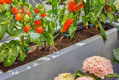 Micro-Drip-System Drip Irrigation Set Terrace (30 Plants)
