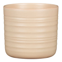 PLANT POTS DRY REED