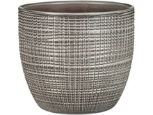PLANTERS PIMIENTA