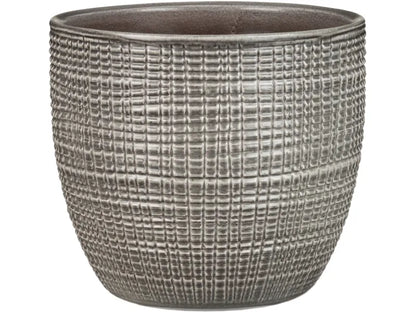 PLANTERS PIMIENTA