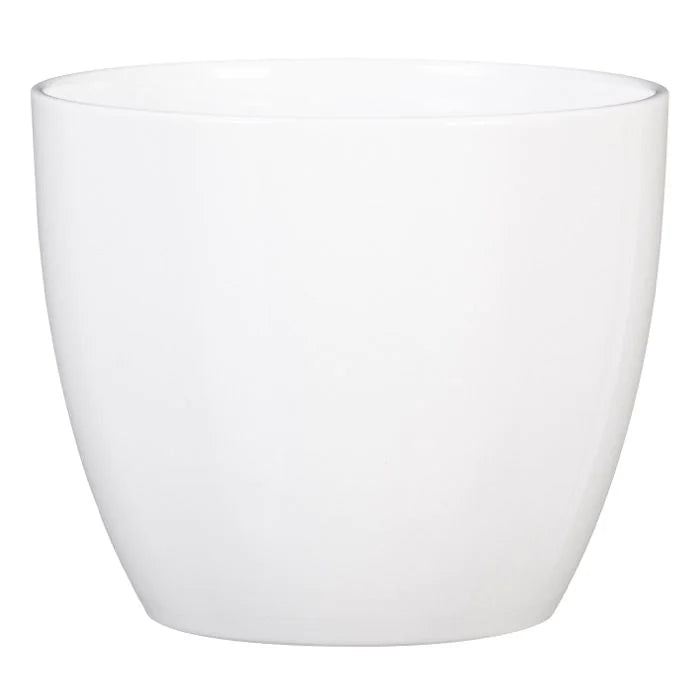 POTS ALASKA WHITE