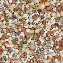 Vanrobaeys Nr.182 Zucht Power 20kg