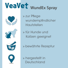 cdVet VeaVet WundEx Spray
