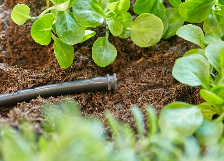 Micro-Drip-System End Cap 4.6 mm (3/16") - Contents: 10 pieces