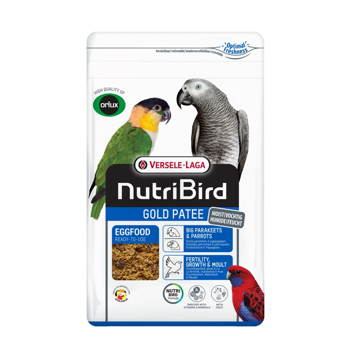 Gold Patee Large Parakeet / Parrot