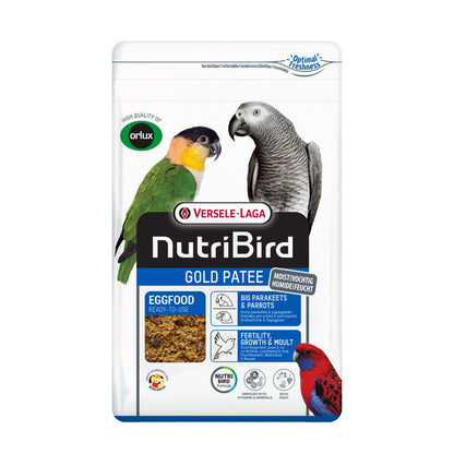 Gold Patee Large Parakeet / Parrot
