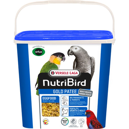 Gold Patee Large Parakeet / Parrot