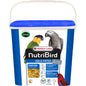 Gold Patee Large Parakeet / Parrot