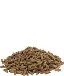 Versele Laga Austru 4 Pellet 20 kg