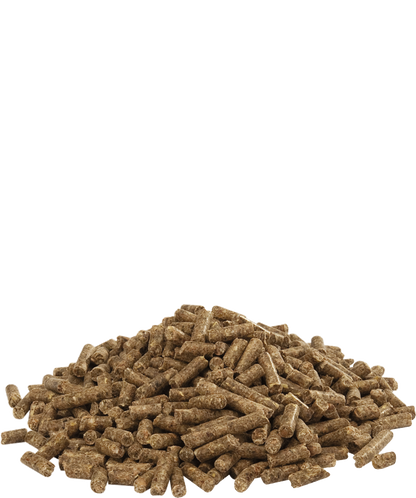 Versele Laga Austru 4 Pellet 20 kg