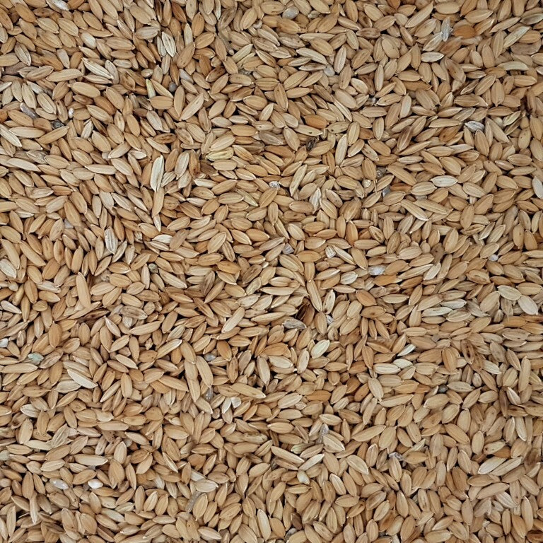 Versele Laga Paddy Rice 20 kg
