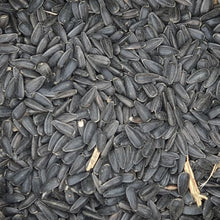 Versele Laga Black Sunflower Seeds 15 kg
